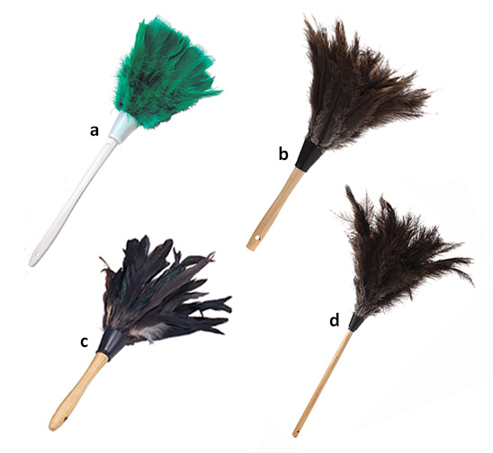 Economy Feather Dusters